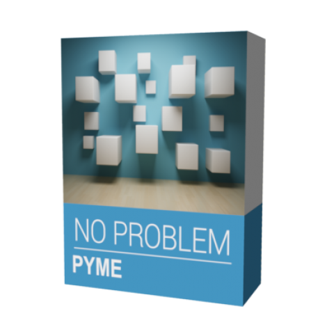 SOFTWARE NO PROBLEM PYME - Imagen 1