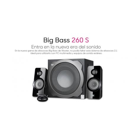 ALTAVOZ WOXTER BIG BASS 260 S - Imagen 1